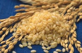 Ngồi buồn cắn chắt - tân quảng