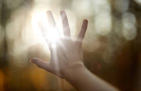 Faceless picture, man's hand covering sunlight,l sun shiing through hand, image of human's hand covering sun, bright rays of sun, isolated over park or forest background. Nature concept.