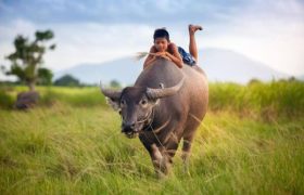 có ai nghe thấy lòng tôi - tân quảng