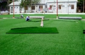 cỏ nơi sân cỏ - tân quảng
