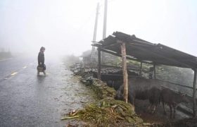 gió mùa đông bắc - tân quảng