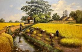 hồn quê - tân quảng