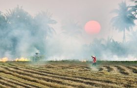 khói - tân quảng