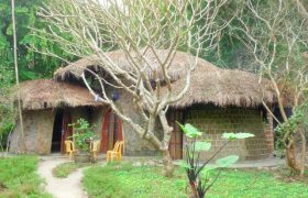 không đề - tân quảng