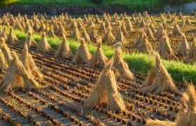 khuc-thang-muoi-2024