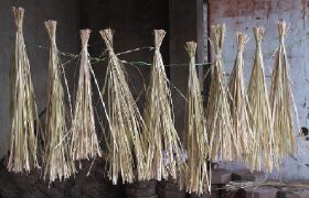 lột mình làm lạt - tân quảng