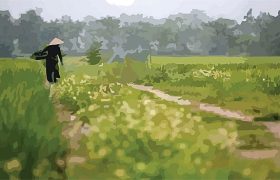 mẹ và cánh đồng - tân quảng