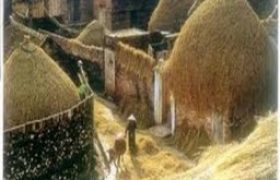 một thoáng về rơm - tân quảng