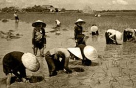 mùa đi chưa hết đốt tay - tân quảng