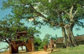 nét quê - tân quảng