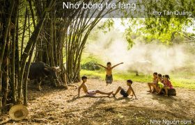 nhớ bóng tre làng - tân quảng