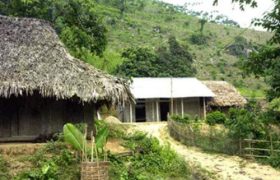 nhớ người hàng xóm - tân quảng