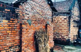 tháng giêng chạm ngõ - tân quảng