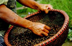 thử nói về đôi bàn tay - tân quảng