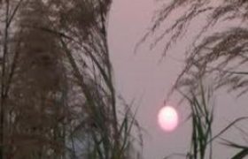 vãn mùa - tân quảng